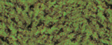 �m�n�b�g�@�t���b�N�@��