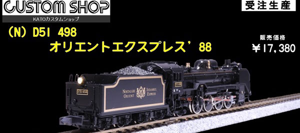 D51�ƥ�����饤��