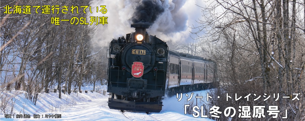 SL�ߤμ�����